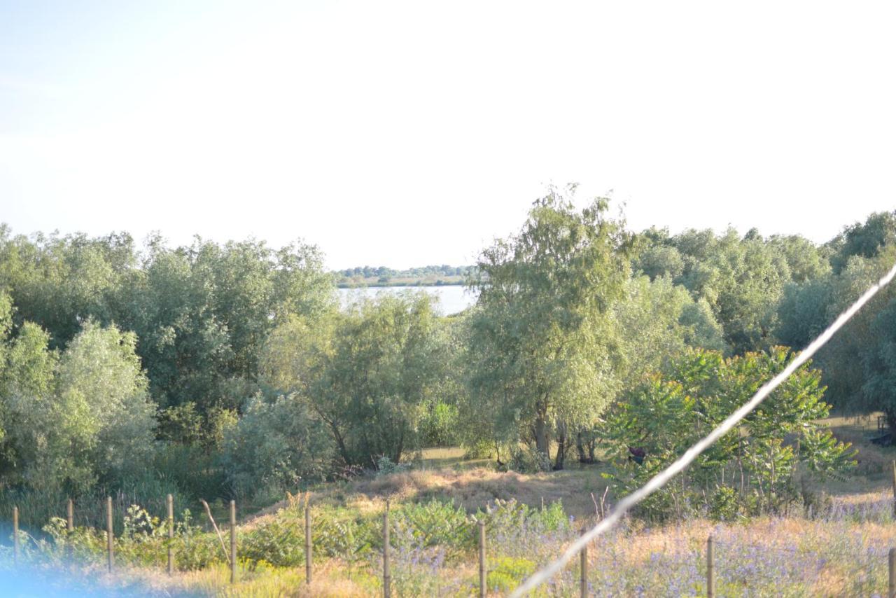 Pensiunea Yogi Dunavăţu de Jos Bagian luar foto