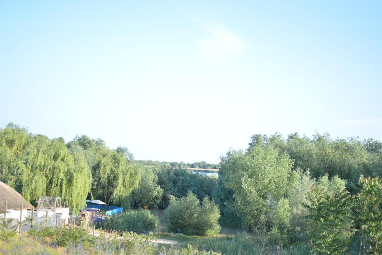 Pensiunea Yogi Dunavăţu de Jos Bagian luar foto