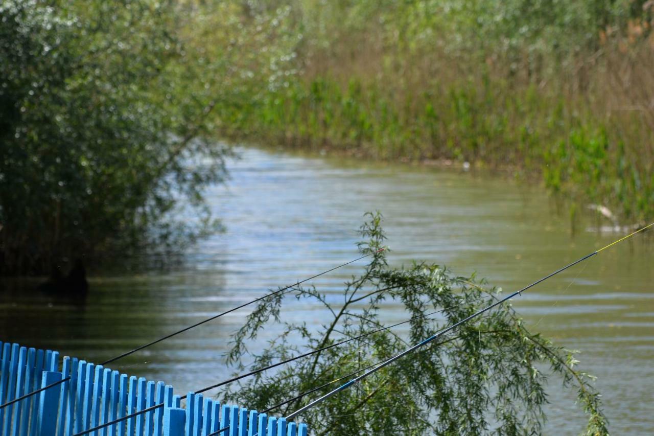 Pensiunea Yogi Dunavăţu de Jos Bagian luar foto