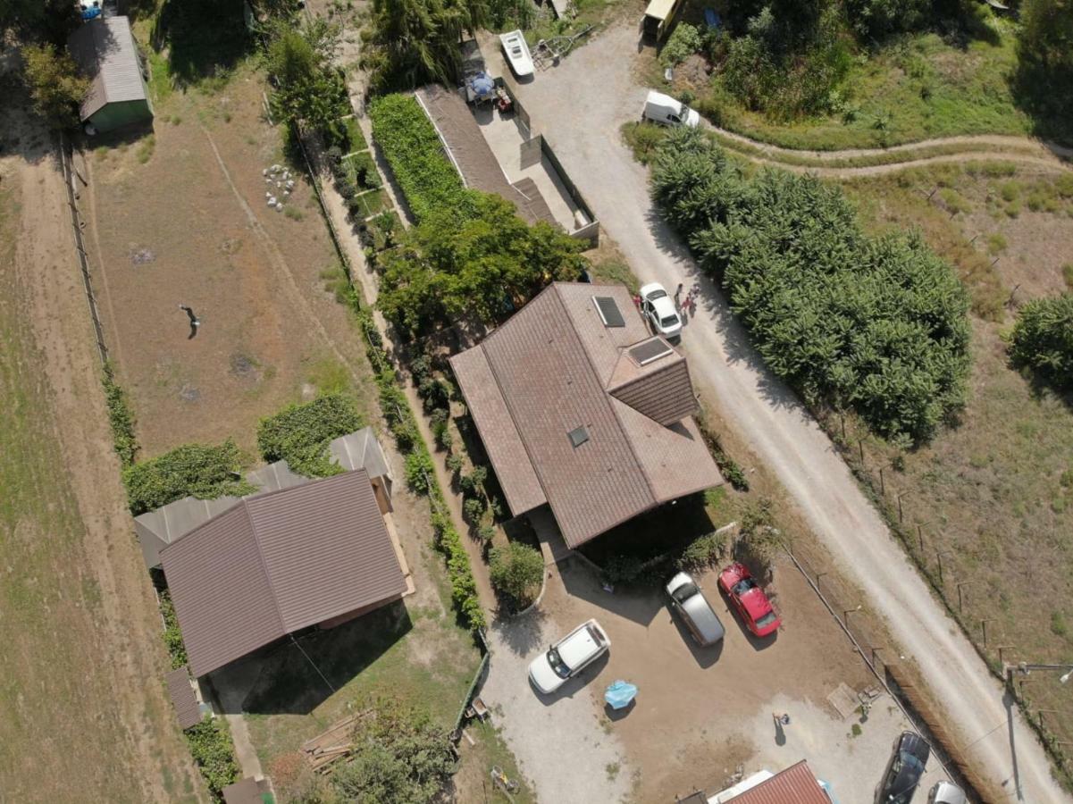Pensiunea Yogi Dunavăţu de Jos Bagian luar foto